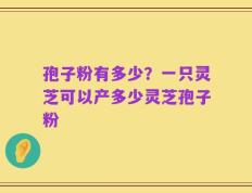 孢子粉有多少？一只灵芝可以产多少灵芝孢子粉
