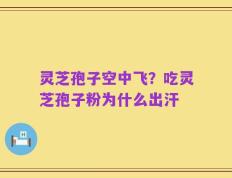 灵芝孢子空中飞？吃灵芝孢子粉为什么出汗