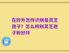 在野外怎样识别是灵芝孢子？怎么辨别灵芝孢子粉好坏