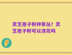 灵芝孢子粉种草丛？灵芝孢子粉可以浇花吗