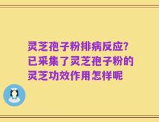灵芝孢子粉排病反应？已采集了灵芝孢子粉的灵芝功效作用怎样呢