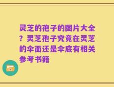 灵芝的孢子的图片大全？灵芝孢子究竟在灵芝的伞面还是伞底有相关参考书籍