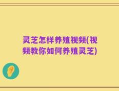 灵芝怎样养殖视频(视频教你如何养殖灵芝)