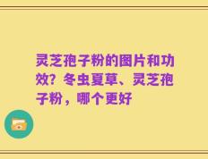 灵芝孢子粉的图片和功效？冬虫夏草、灵芝孢子粉，哪个更好