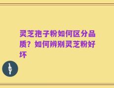 灵芝孢子粉如何区分品质？如何辨别灵芝粉好坏