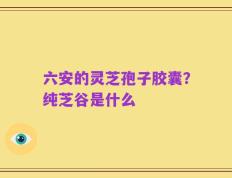 六安的灵芝孢子胶囊？纯芝谷是什么