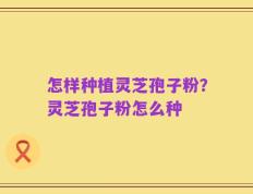 怎样种植灵芝孢子粉？灵芝孢子粉怎么种