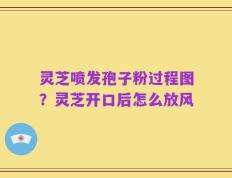 灵芝喷发孢子粉过程图？灵芝开口后怎么放风