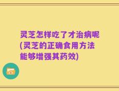 灵芝怎样吃了才治病呢(灵芝的正确食用方法能够增强其药效)