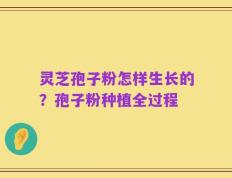 灵芝孢子粉怎样生长的？孢子粉种植全过程
