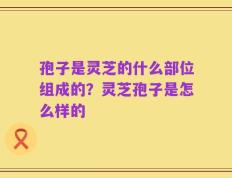 孢子是灵芝的什么部位组成的？灵芝孢子是怎么样的
