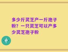 多少斤灵芝产一斤孢子粉？一只灵芝可以产多少灵芝孢子粉