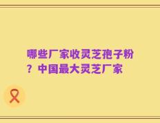 哪些厂家收灵芝孢子粉？中国最大灵芝厂家