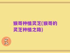 猴哥种植灵芝(猴哥的灵芝种植之路)