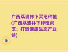 广西荔浦林下灵芝种植(广西荔浦林下种植灵芝：打造健康生态产业链)
