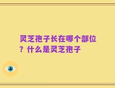 灵芝孢子长在哪个部位？什么是灵芝孢子
