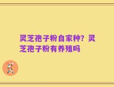 灵芝孢子粉自家种？灵芝孢子粉有养殖吗