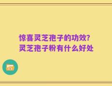惊喜灵芝孢子的功效？灵芝孢子粉有什么好处