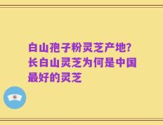 白山孢子粉灵芝产地？长白山灵芝为何是中国最好的灵芝