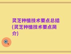 灵芝种植技术要点总结(灵芝种植技术要点简介)