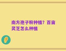 南方孢子粉种植？百亩灵芝怎么种植