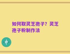 如何取灵芝孢子？灵芝孢子粉制作法