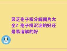 灵芝孢子粉分解图片大全？孢子粉沉淀的好还是易溶解的好