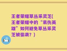 王者荣耀草丛采灵芝(王者荣耀中的“易伤英雄”如何避免草丛采灵芝被偷袭？)
