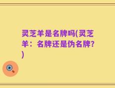 灵芝羊是名牌吗(灵芝羊：名牌还是伪名牌？)