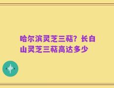 哈尔滨灵芝三萜？长白山灵芝三萜高达多少