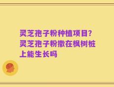 灵芝孢子粉种植项目？灵芝孢子粉撒在枫树桩上能生长吗