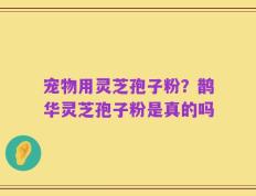 宠物用灵芝孢子粉？鹊华灵芝孢子粉是真的吗