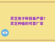 灵芝孢子粉冠县产量？灵芝种植的可靠厂家