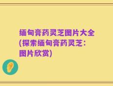 缅甸膏药灵芝图片大全(探索缅甸膏药灵芝：图片欣赏)