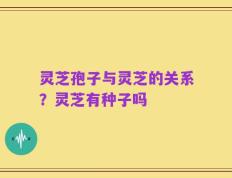 灵芝孢子与灵芝的关系？灵芝有种子吗