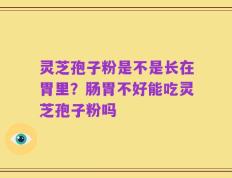 灵芝孢子粉是不是长在胃里？肠胃不好能吃灵芝孢子粉吗