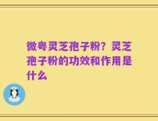 微粤灵芝孢子粉？灵芝孢子粉的功效和作用是什么