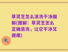 草灵芝怎么清洗干净图解(图解：草灵芝怎么正确清洗，让它干净又健康)