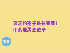 灵芝的孢子是在哪里？什么是灵芝孢子