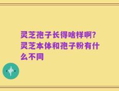 灵芝孢子长得啥样啊？灵芝本体和孢子粉有什么不同