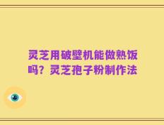 灵芝用破壁机能做熟饭吗？灵芝孢子粉制作法