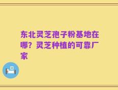 东北灵芝孢子粉基地在哪？灵芝种植的可靠厂家