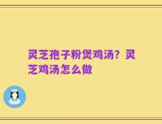 灵芝孢子粉煲鸡汤？灵芝鸡汤怎么做
