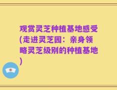 观赏灵芝种植基地感受(走进灵芝园：亲身领略灵芝级别的种植基地)