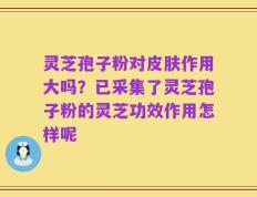 灵芝孢子粉对皮肤作用大吗？已采集了灵芝孢子粉的灵芝功效作用怎样呢