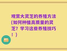 观赏大灵芝的养殖方法(如何种植高质量的灵芝？学习这些养殖技巧！)