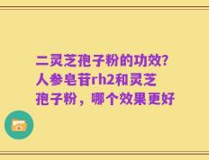 二灵芝孢子粉的功效？人参皂苷rh2和灵芝孢子粉，哪个效果更好