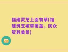 福建灵芝上面有草(福建灵芝被草覆盖，民众赞其美景)
