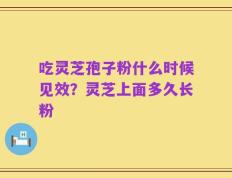 吃灵芝孢子粉什么时候见效？灵芝上面多久长粉