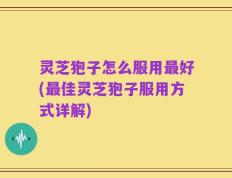 灵芝狍子怎么服用最好(最佳灵芝狍子服用方式详解)
